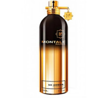 Montale So Amber 100 мл