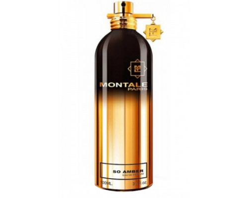 Montale So Amber 100 мл (унисекс)