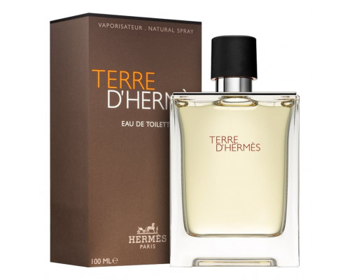 Hermes Terre DHermes 100 мл EURO